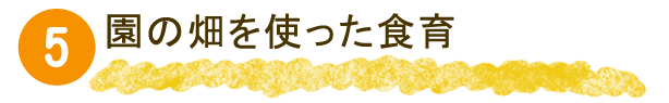 園の畑を使った食育
